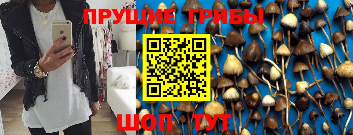 Псилоцибиновые грибы GOLDEN TEACHER Лобня